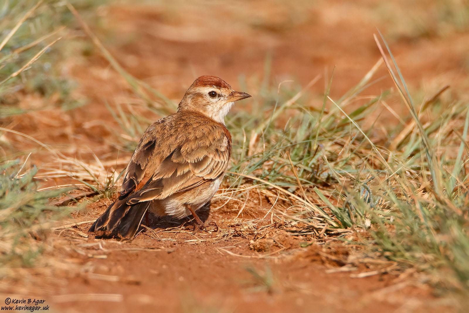 7D2_3164.jpg