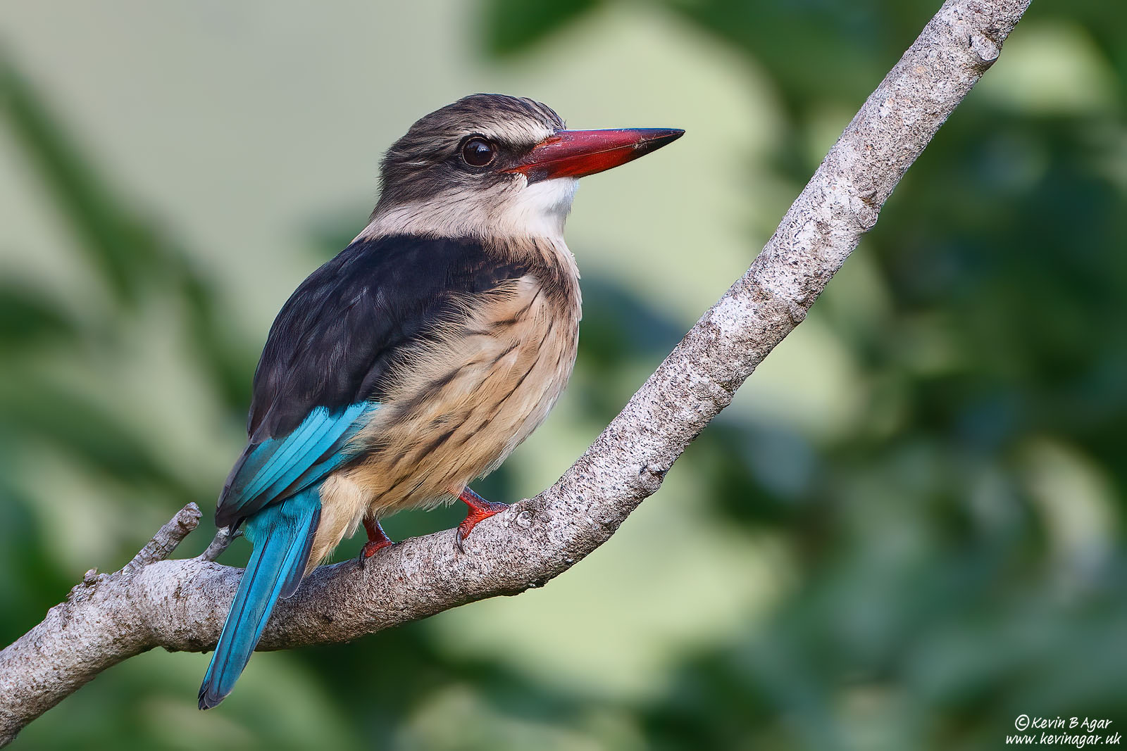 7D2_4578.jpg 7D2_4578.jpg