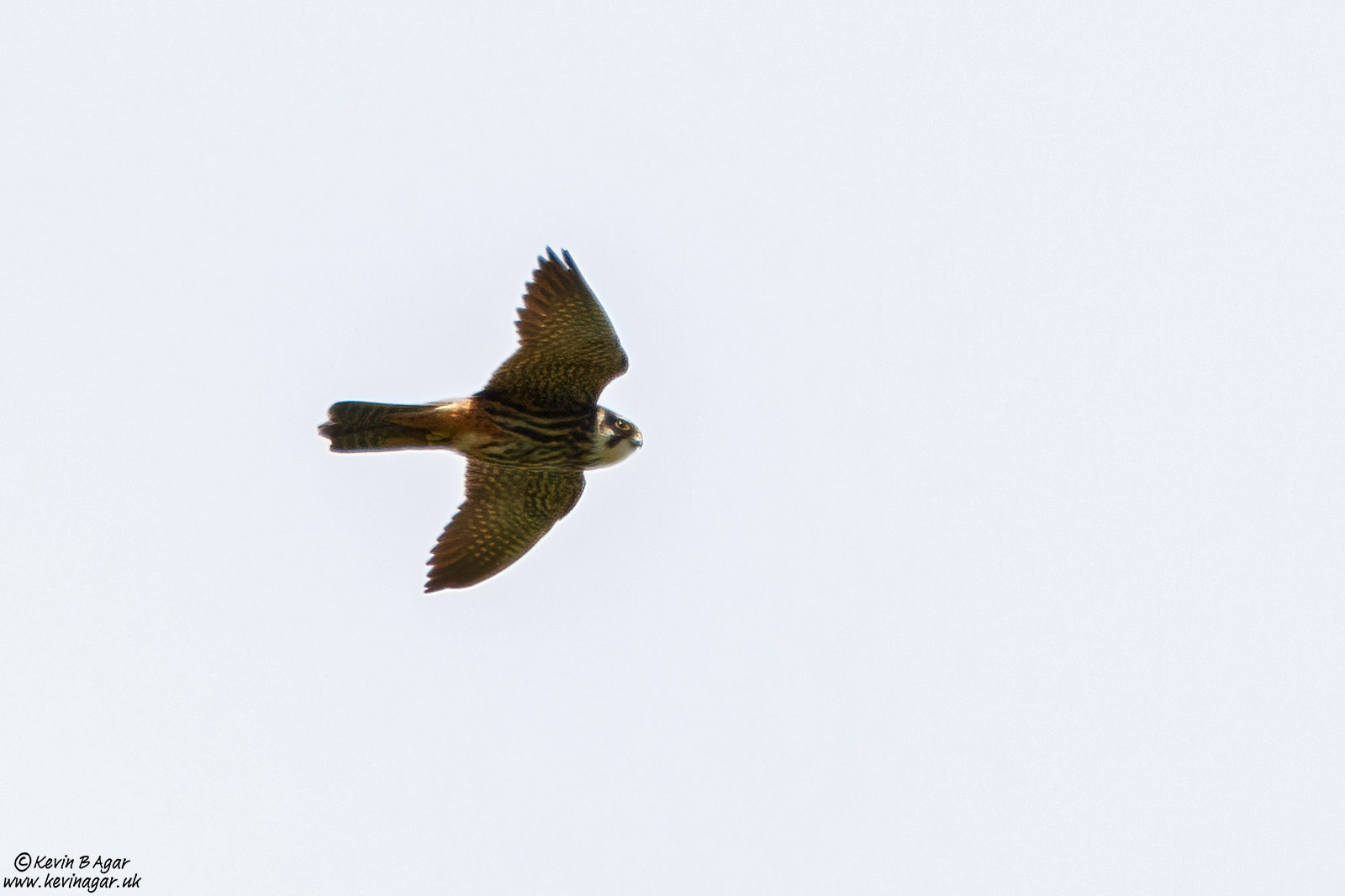 7D2_6404.jpg