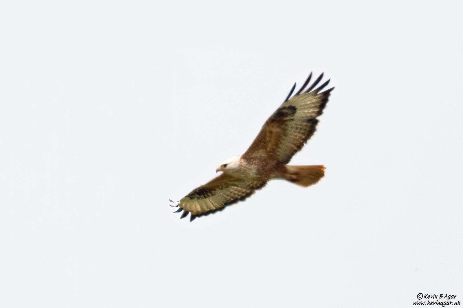 7D2_7331.jpg