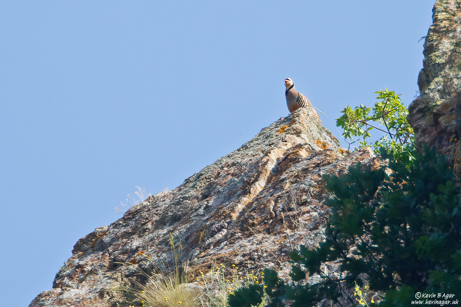 7D2_7173.jpg