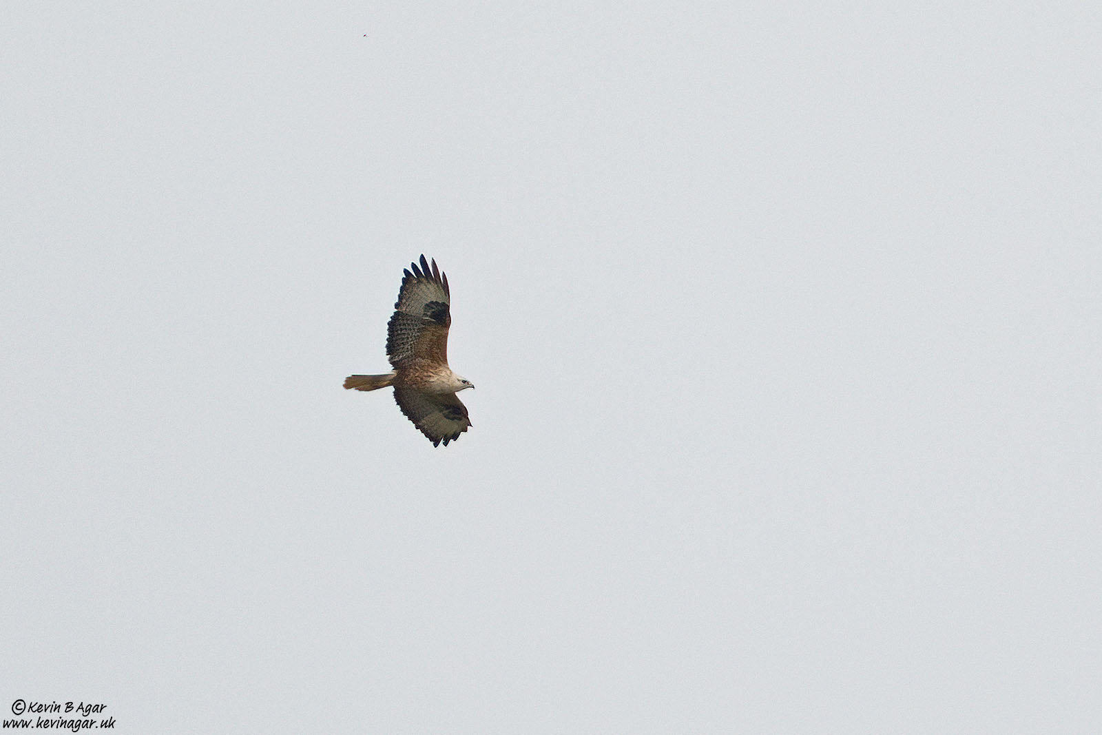 7D2_6524.jpg