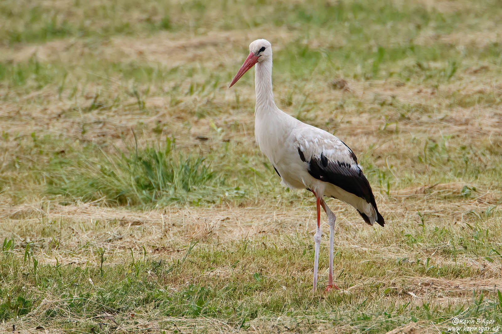 7D2_7102.jpg