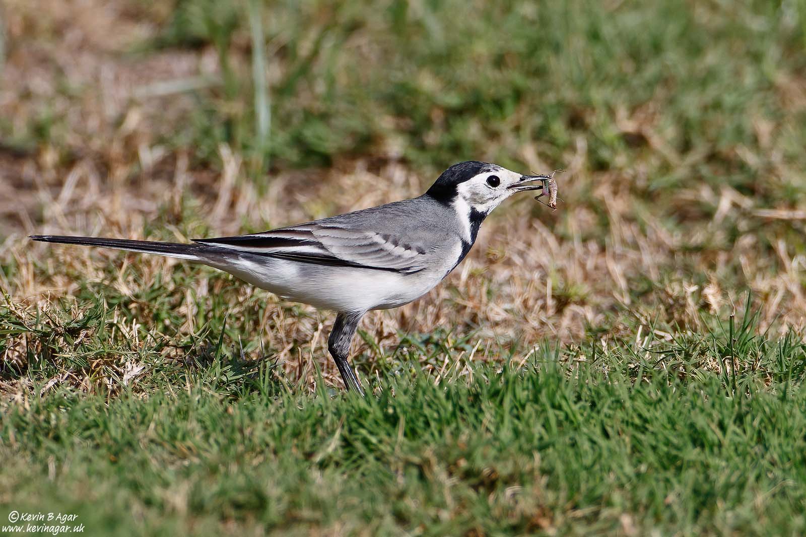 7D2_1655.jpg