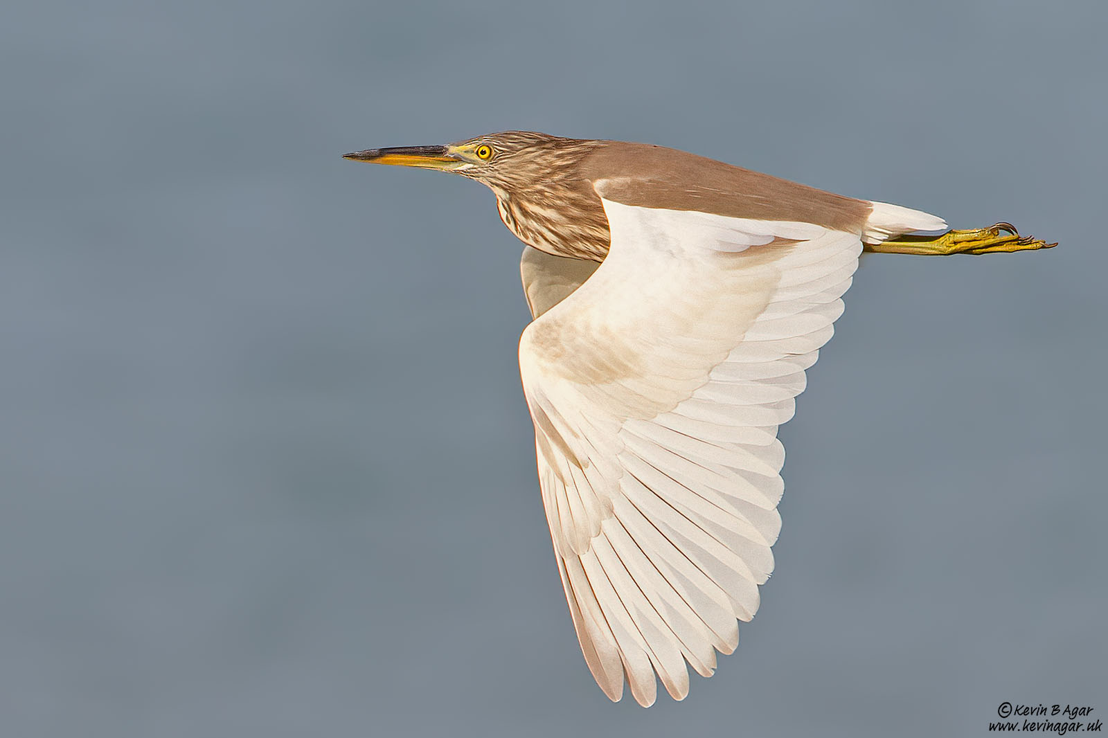 7D2_4003.jpg