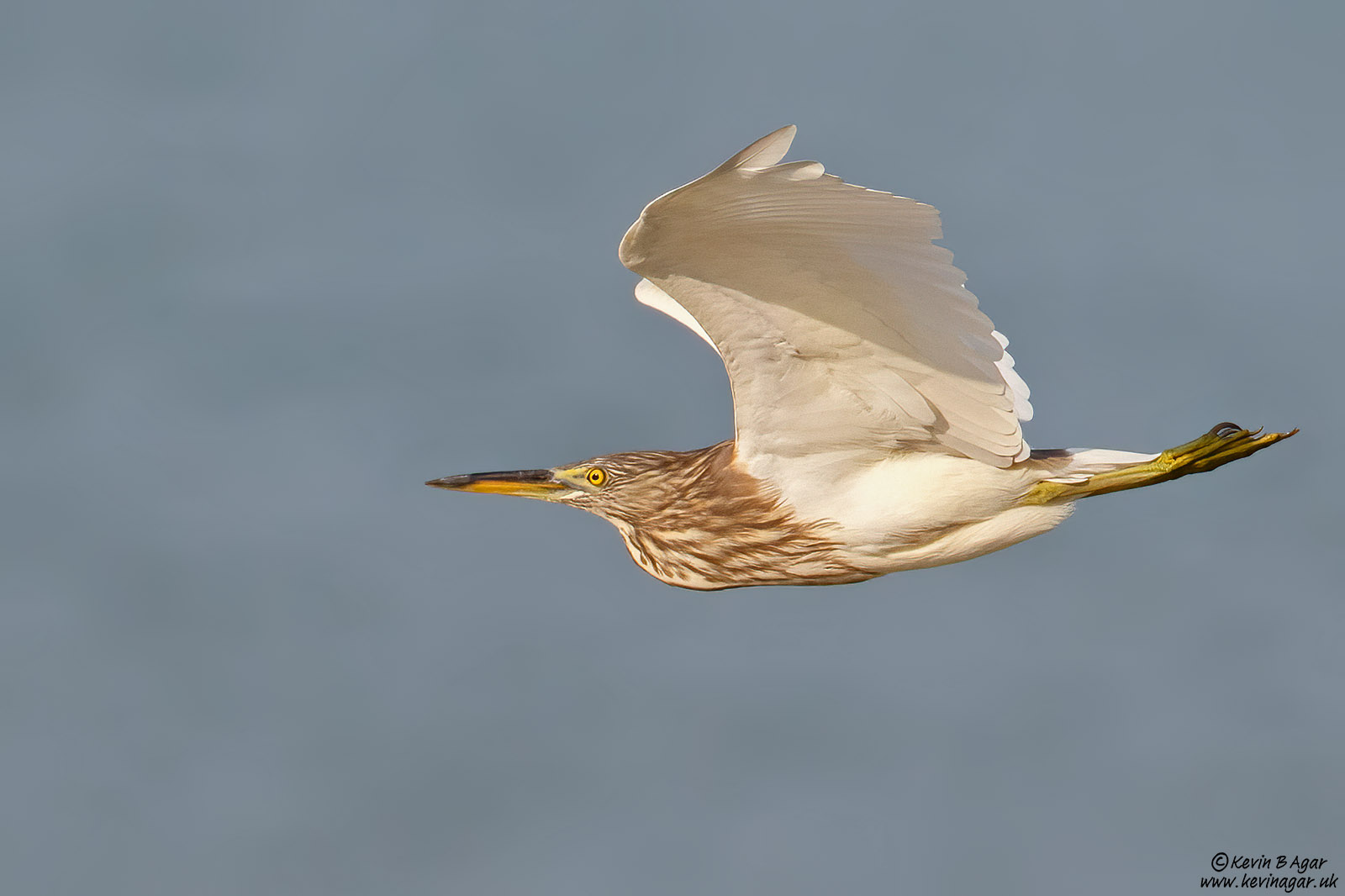 7D2_4005.jpg