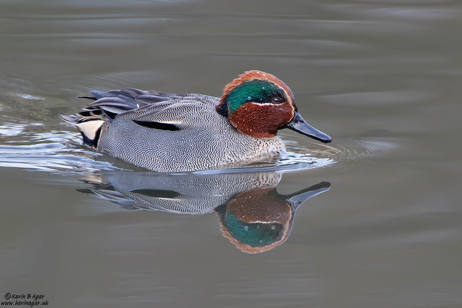 7D2_5109.jpg