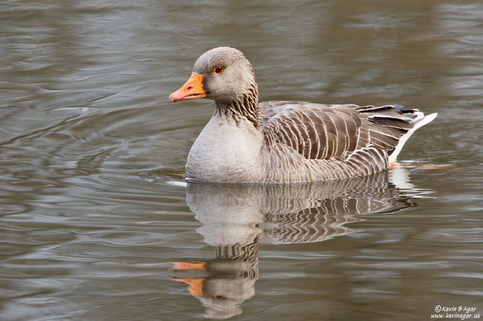 7D2_5120.jpg