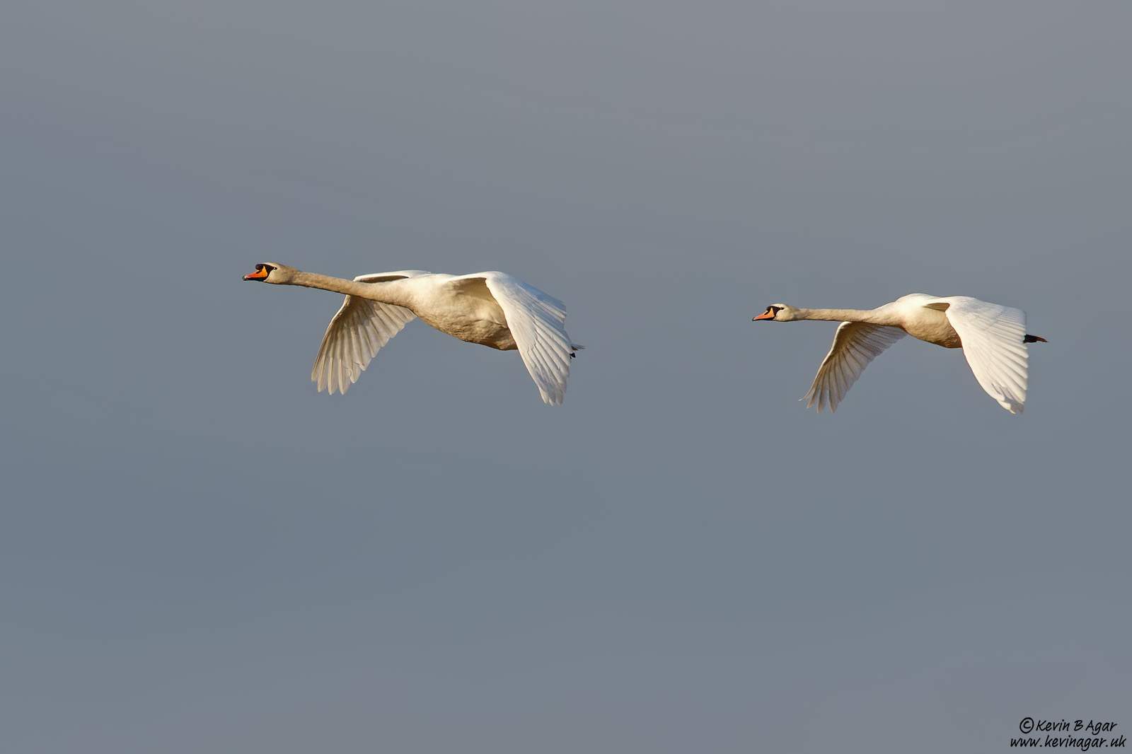 7D2_5422.jpg