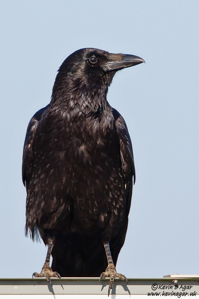 7D2_7651.jpg