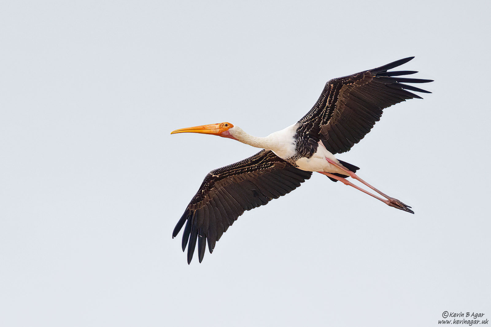 7D2_0436-2.jpg