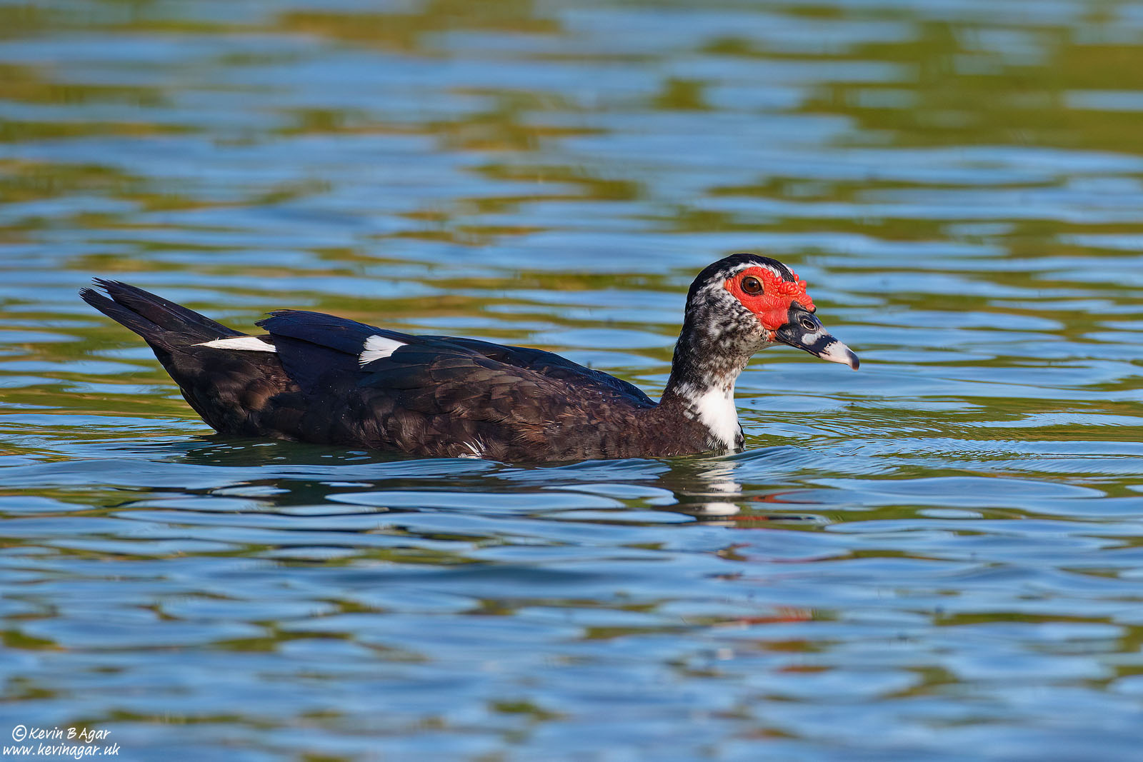 7D2_7736.jpg