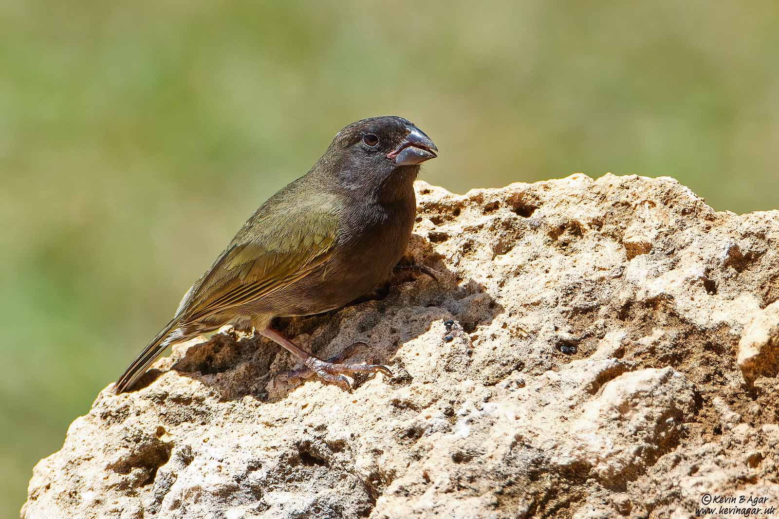 7D2_7613.jpg