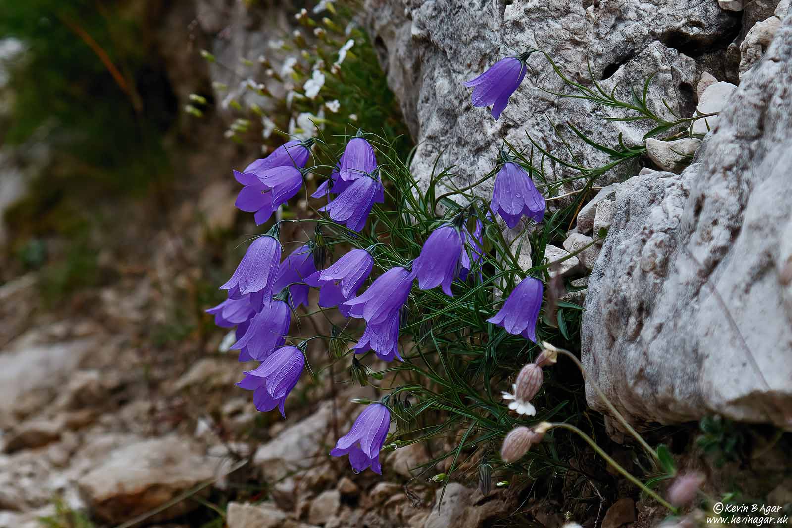 7D2_9879.jpg