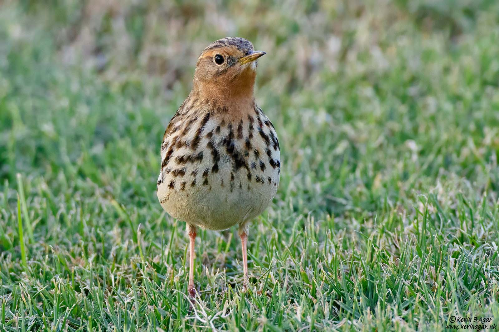 7D2_1547.jpg