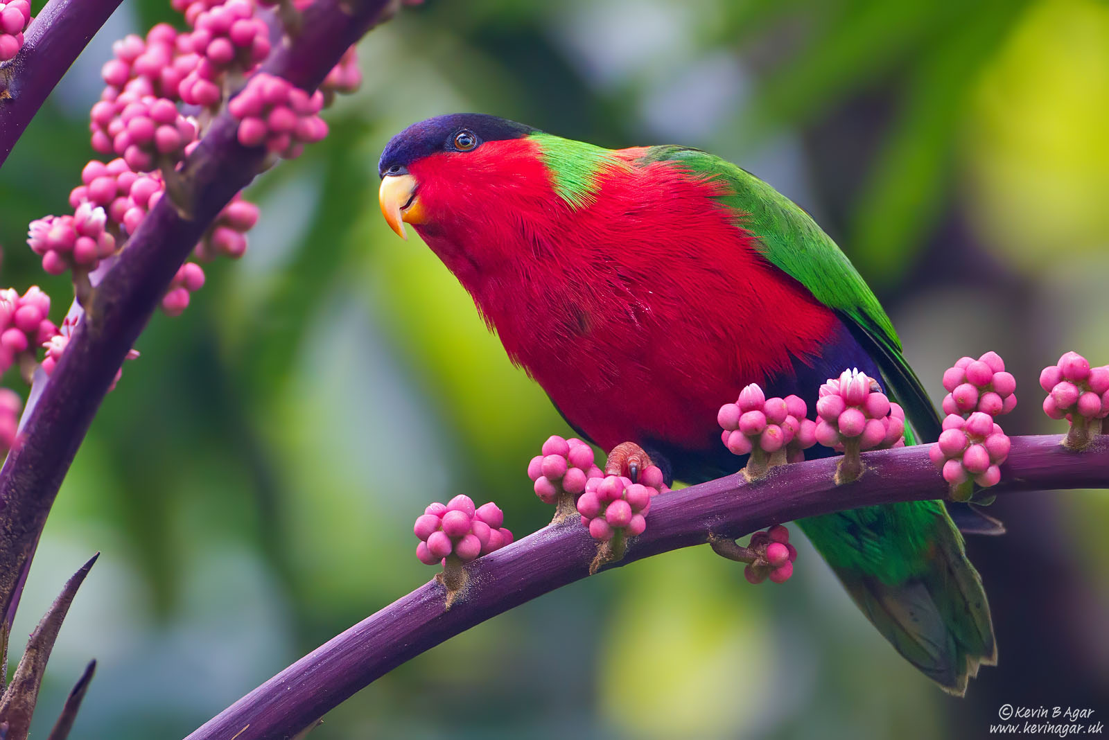 IMG_8923.jpg IMG_8923.jpg