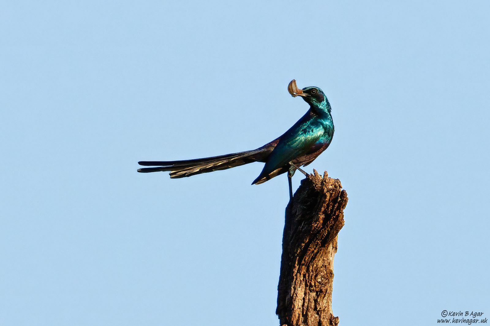 7D2_4942.jpg