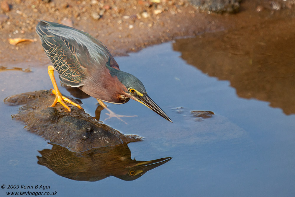 IMG_1257a.jpg IMG_1257a.jpg