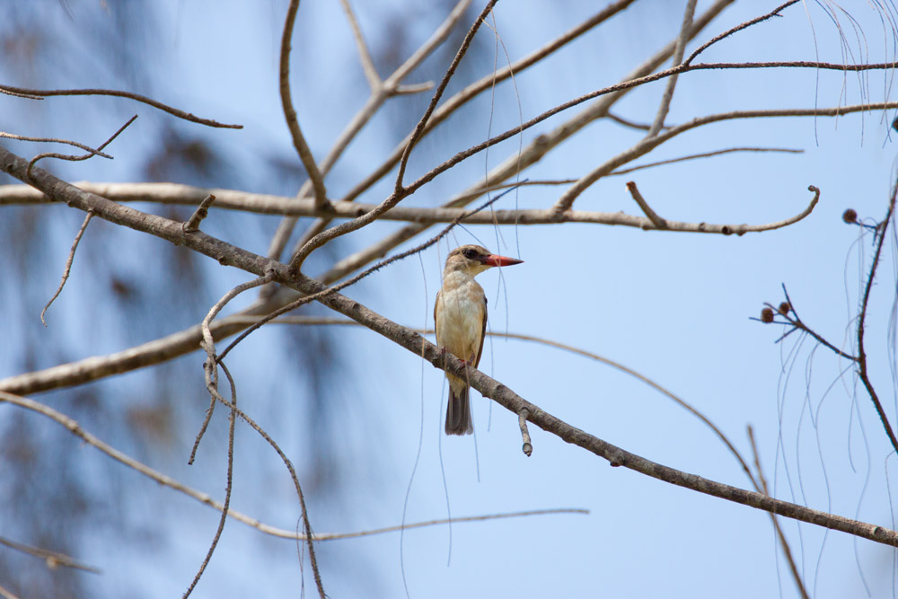 IMG_4569b.jpg