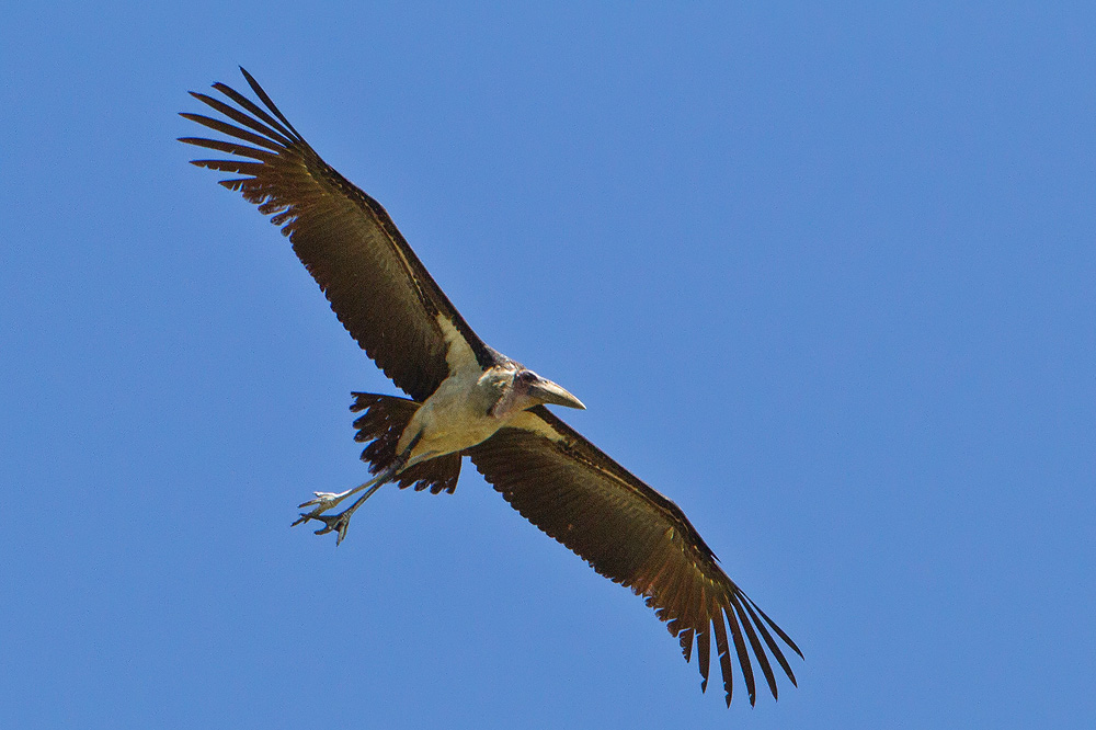 IMG_7336.jpg