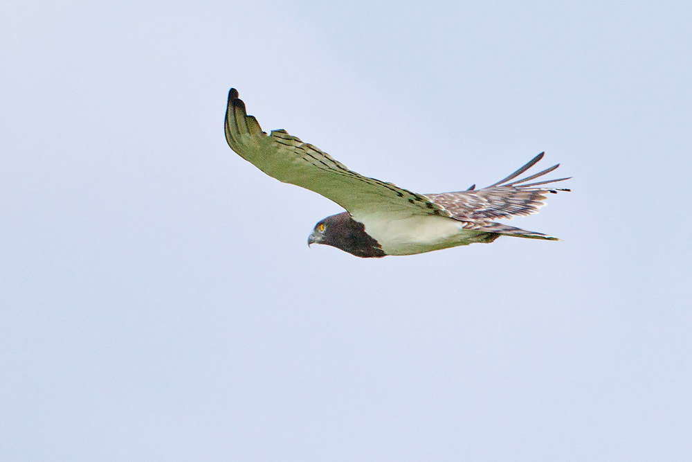 IMG_7492.jpg
