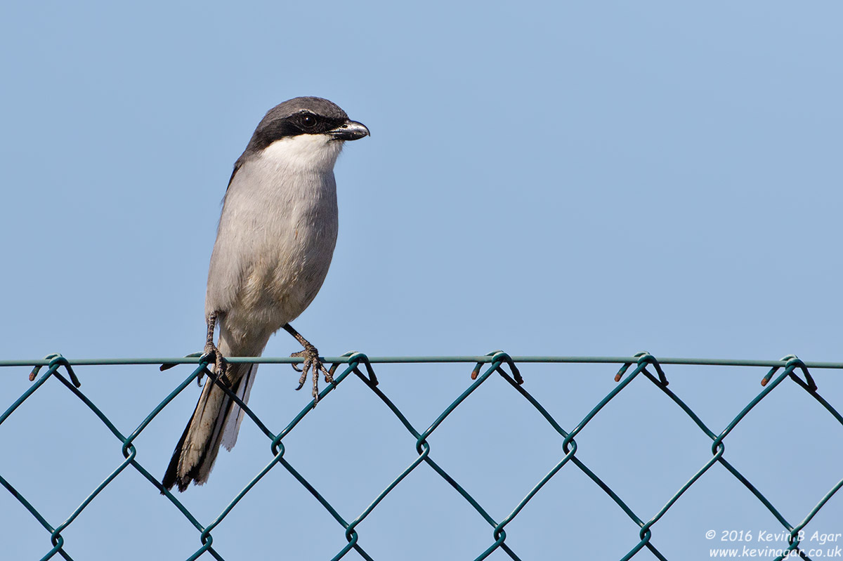 7D2_2784.jpg