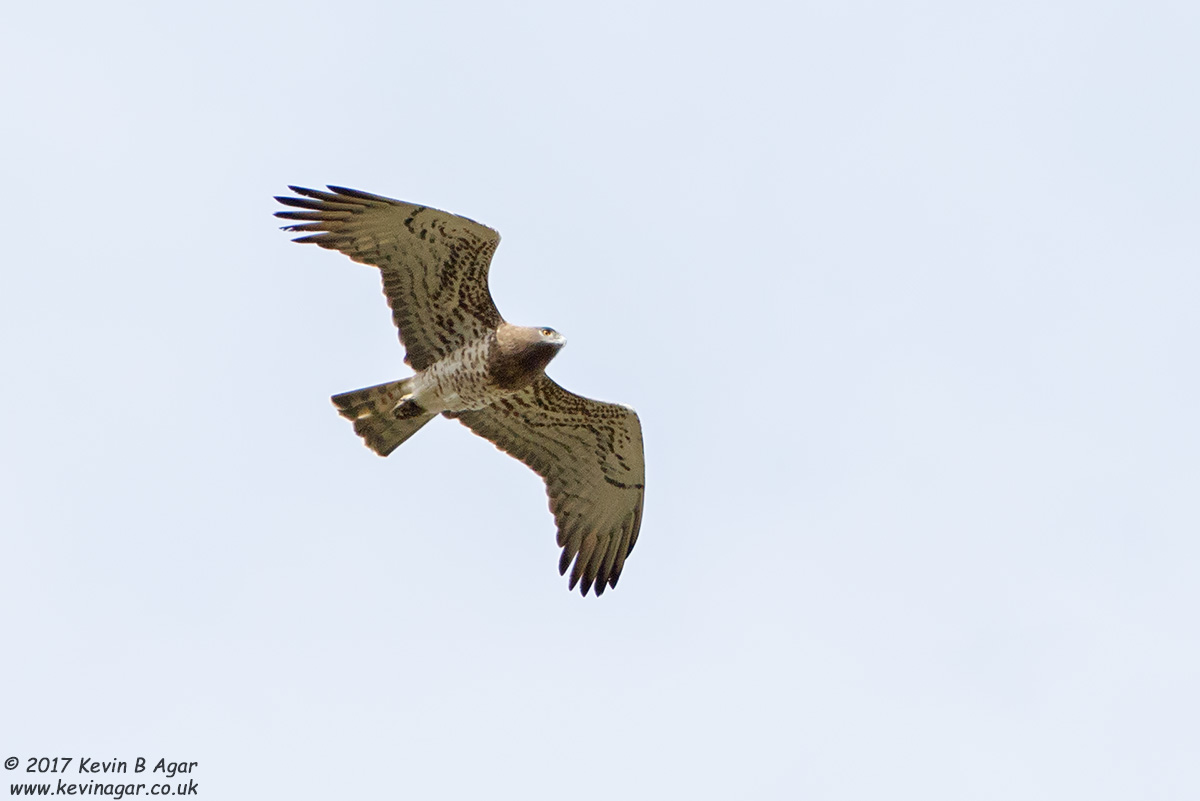 7D2_6587.jpg