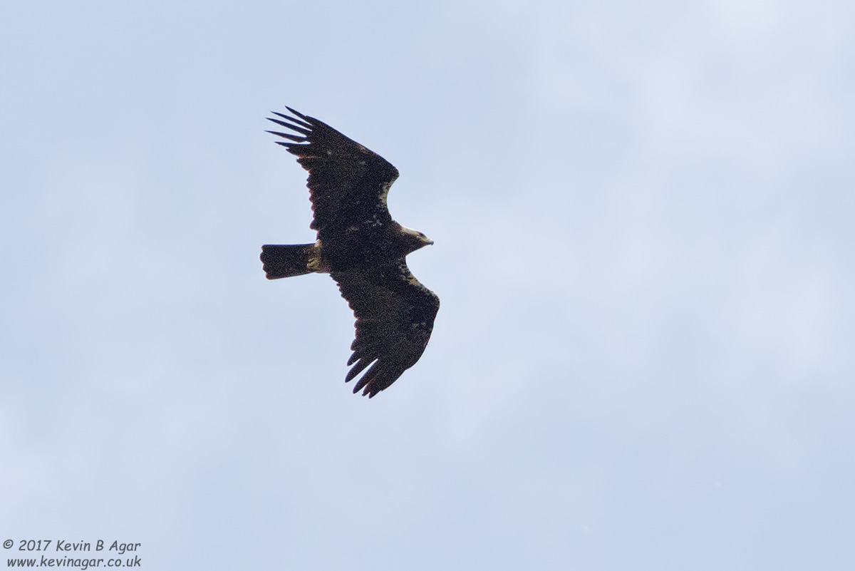 7D2_6890.jpg