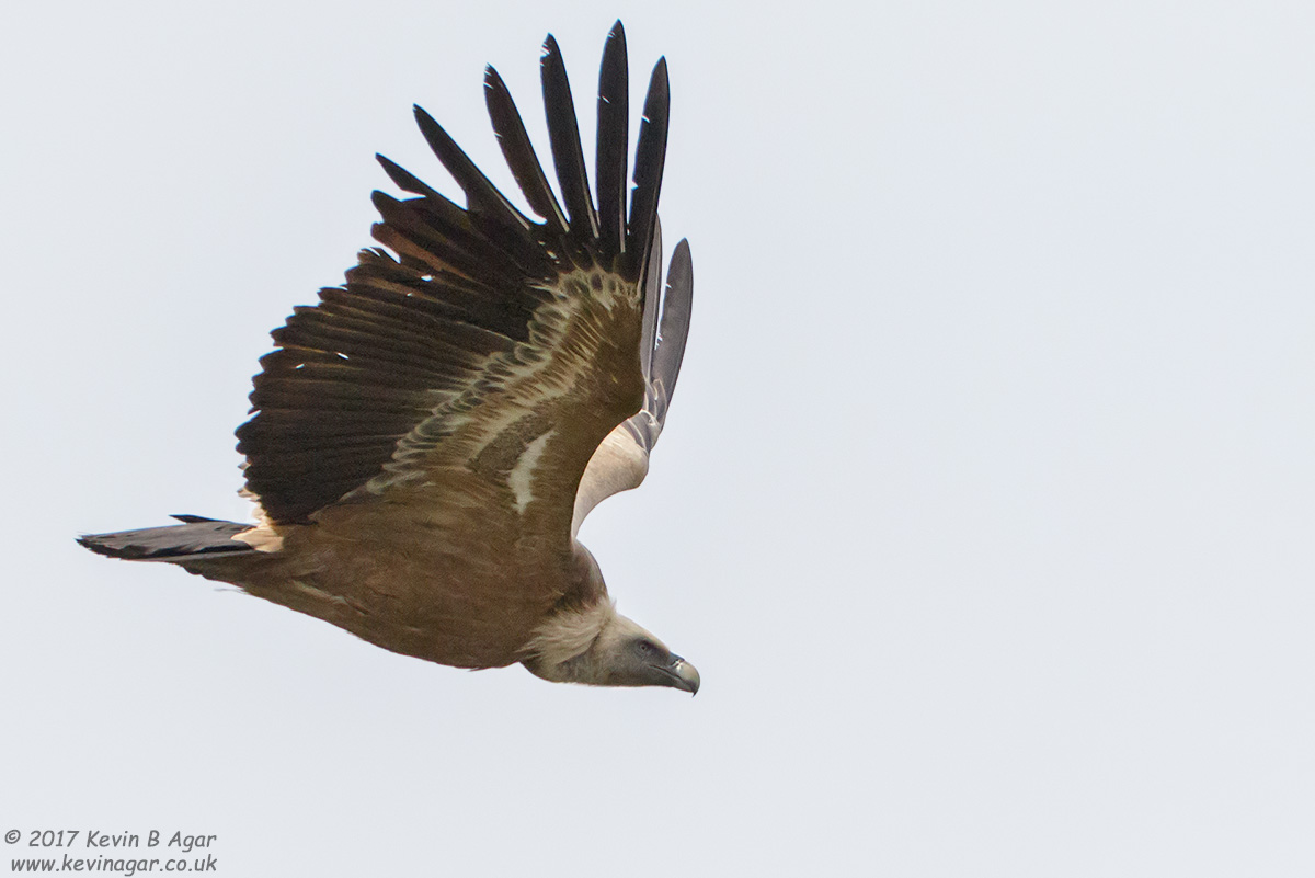 7D2_6953.jpg