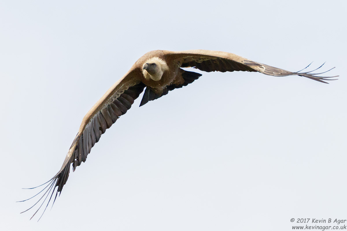 7D2_6961.jpg