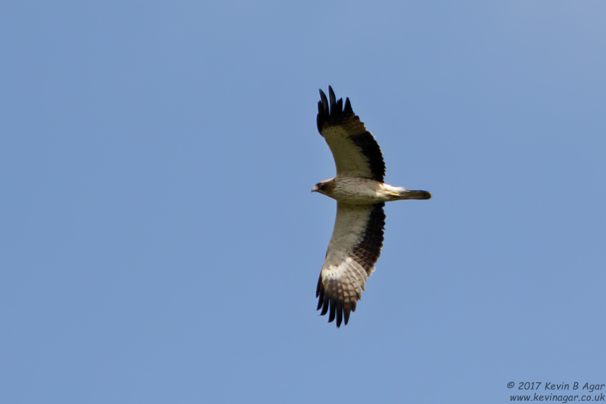 7D2_7035.jpg