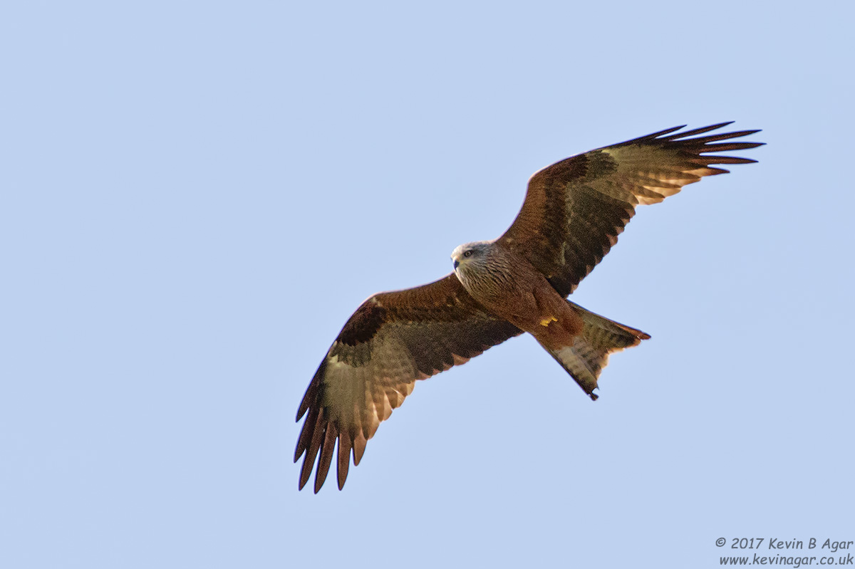 7D2_7422.jpg