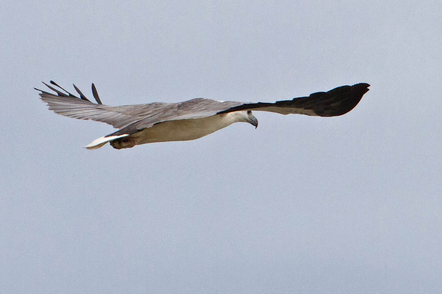 IMG_7250.jpg