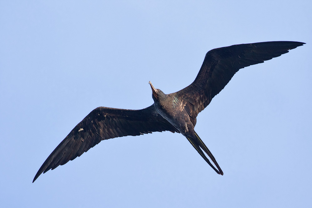 7D2_0024-2.jpg