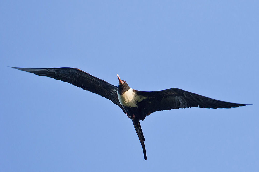 7D2_0045-2.jpg
