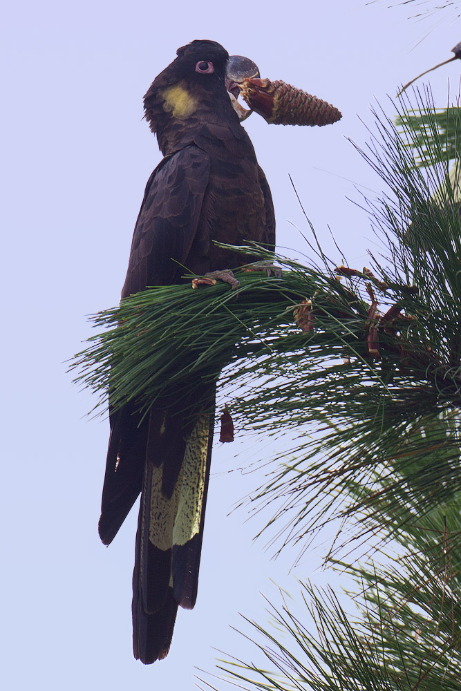 IMG_7549.jpg
