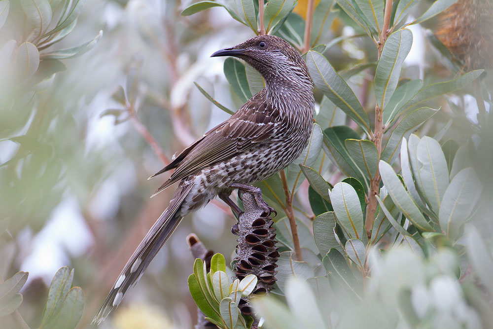 IMG_7584.jpg IMG_7584.jpg