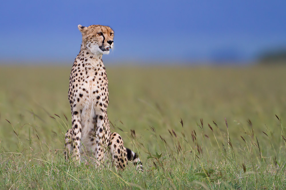 IMG_7535.jpg IMG_7535.jpg