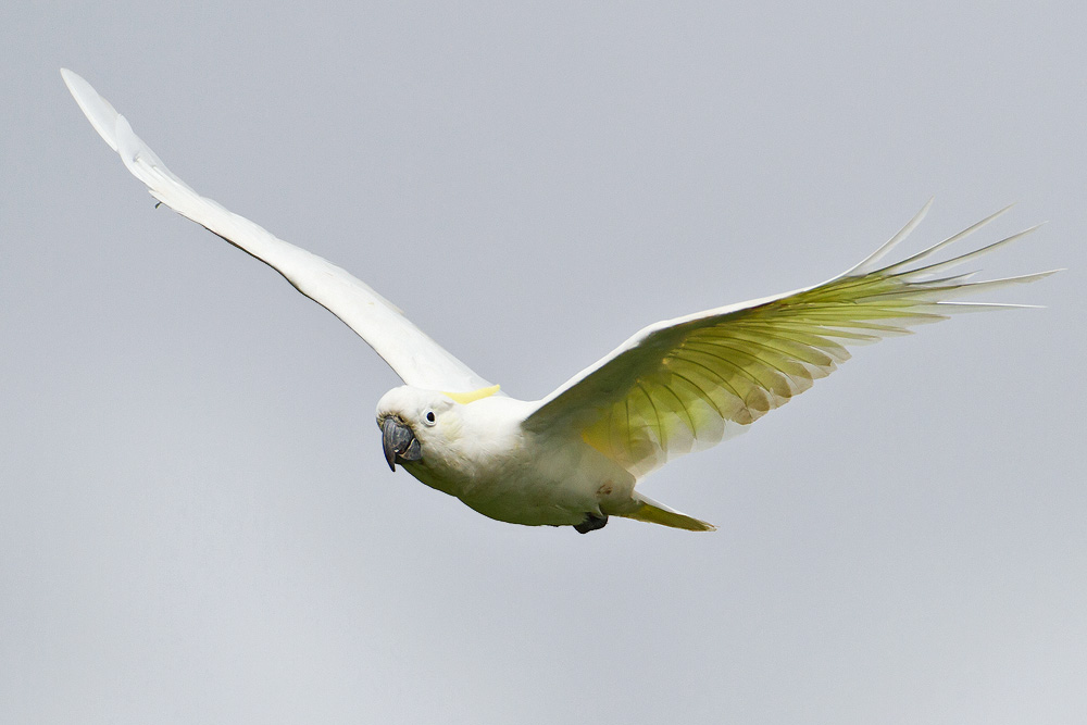 IMG_7695.jpg