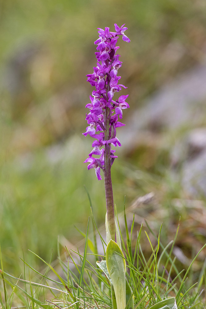 7D2_0844.jpg