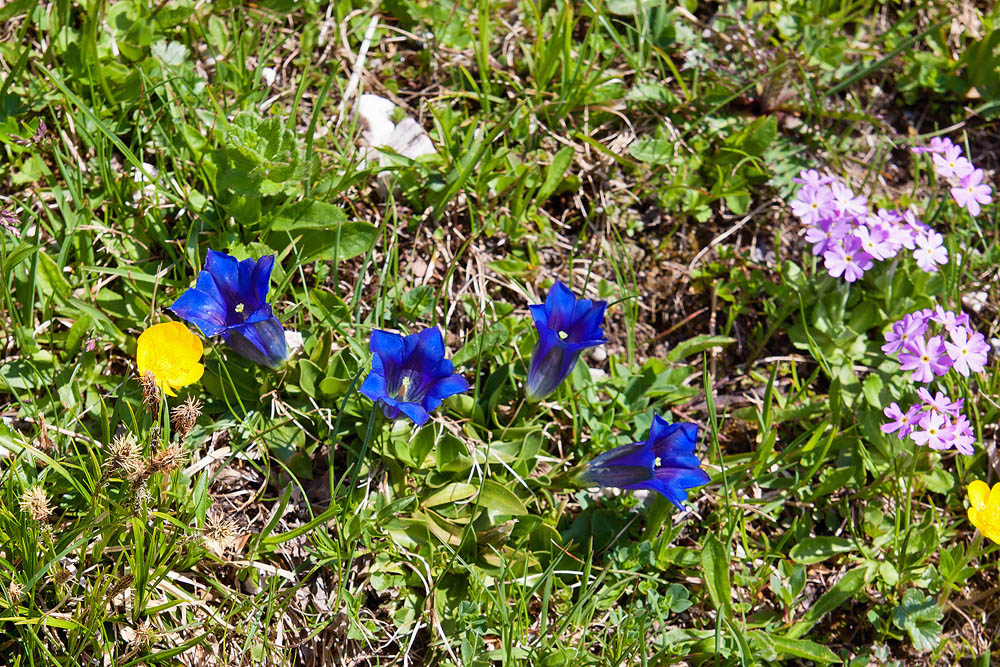 IMG_9524.jpg