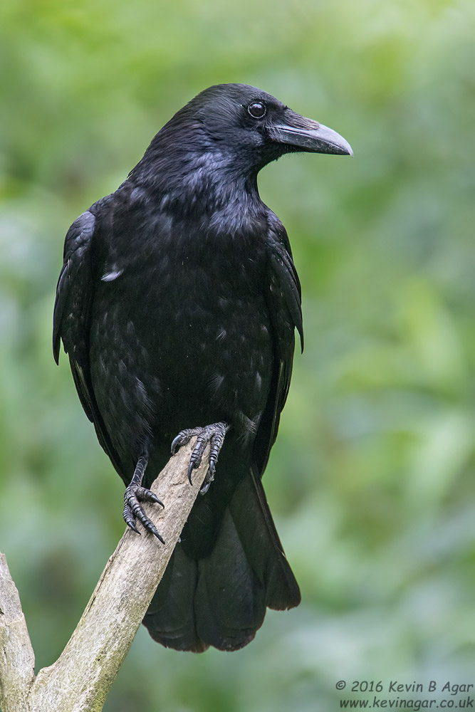 7D2_2035.jpg