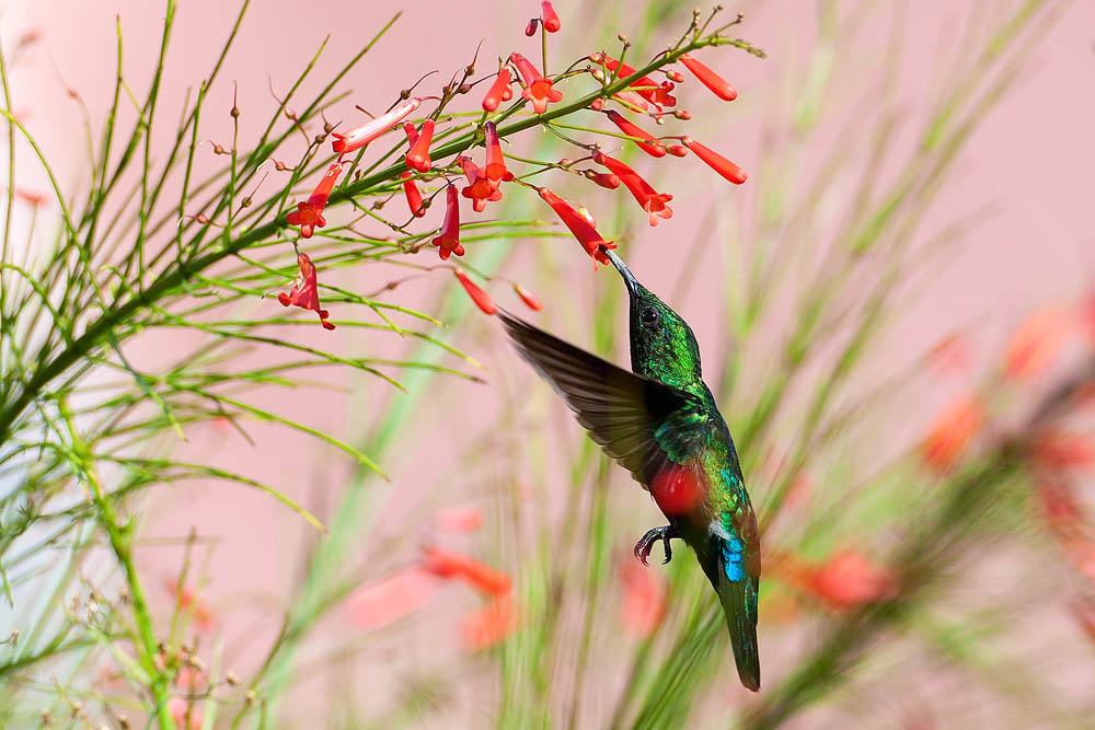 IMG_3349.jpg IMG_3349.jpg