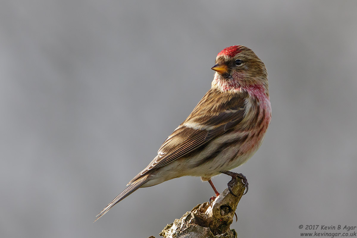 7D2_6046.jpg