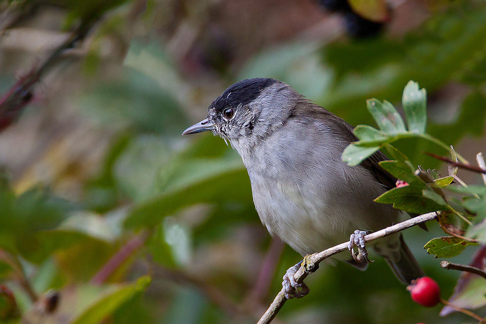 IMG_0942.jpg IMG_0942.jpg