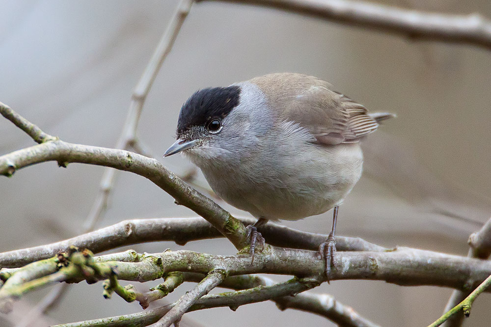 IMG_4181.jpg IMG_4181.jpg