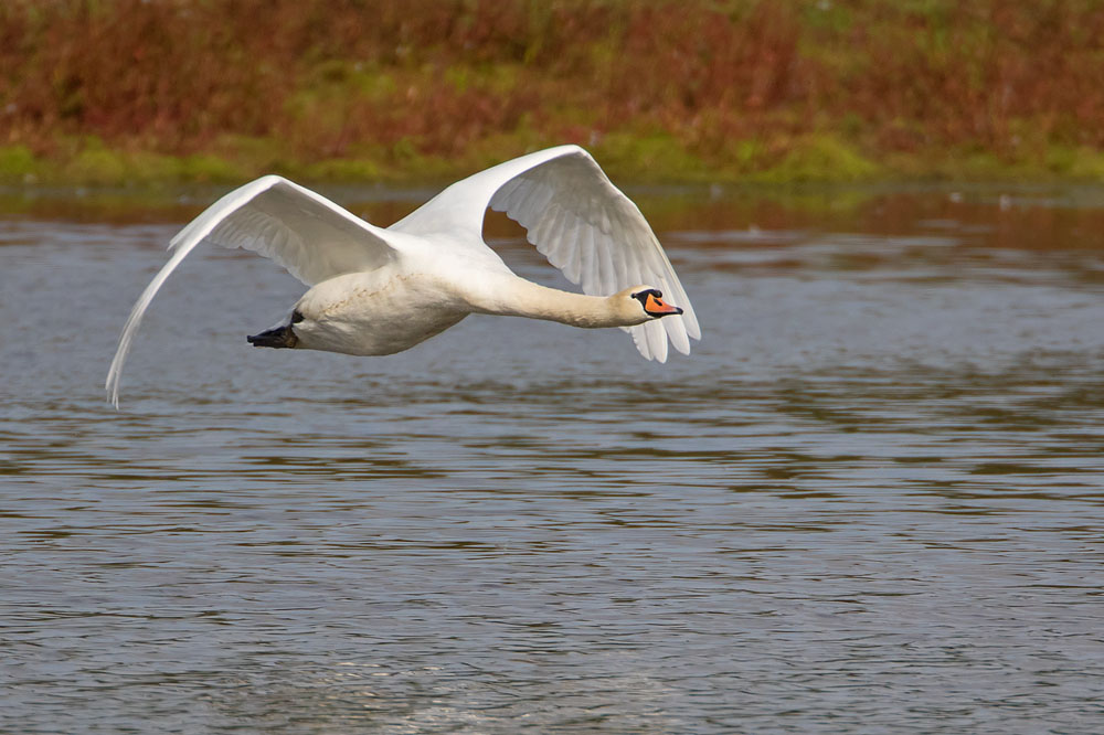 7D2_7749.jpg