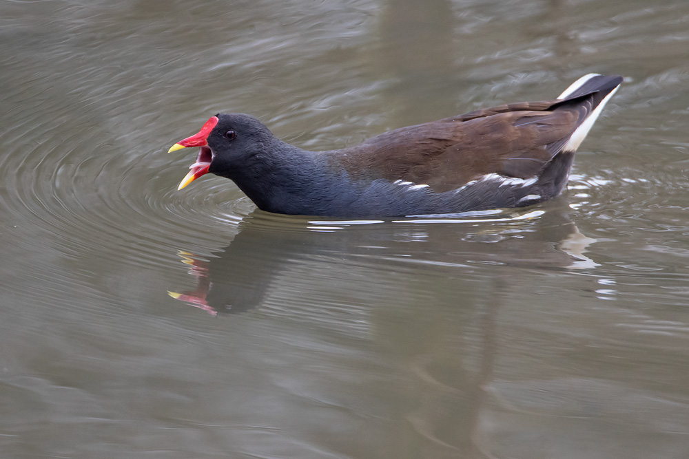 7D2_6719.jpg