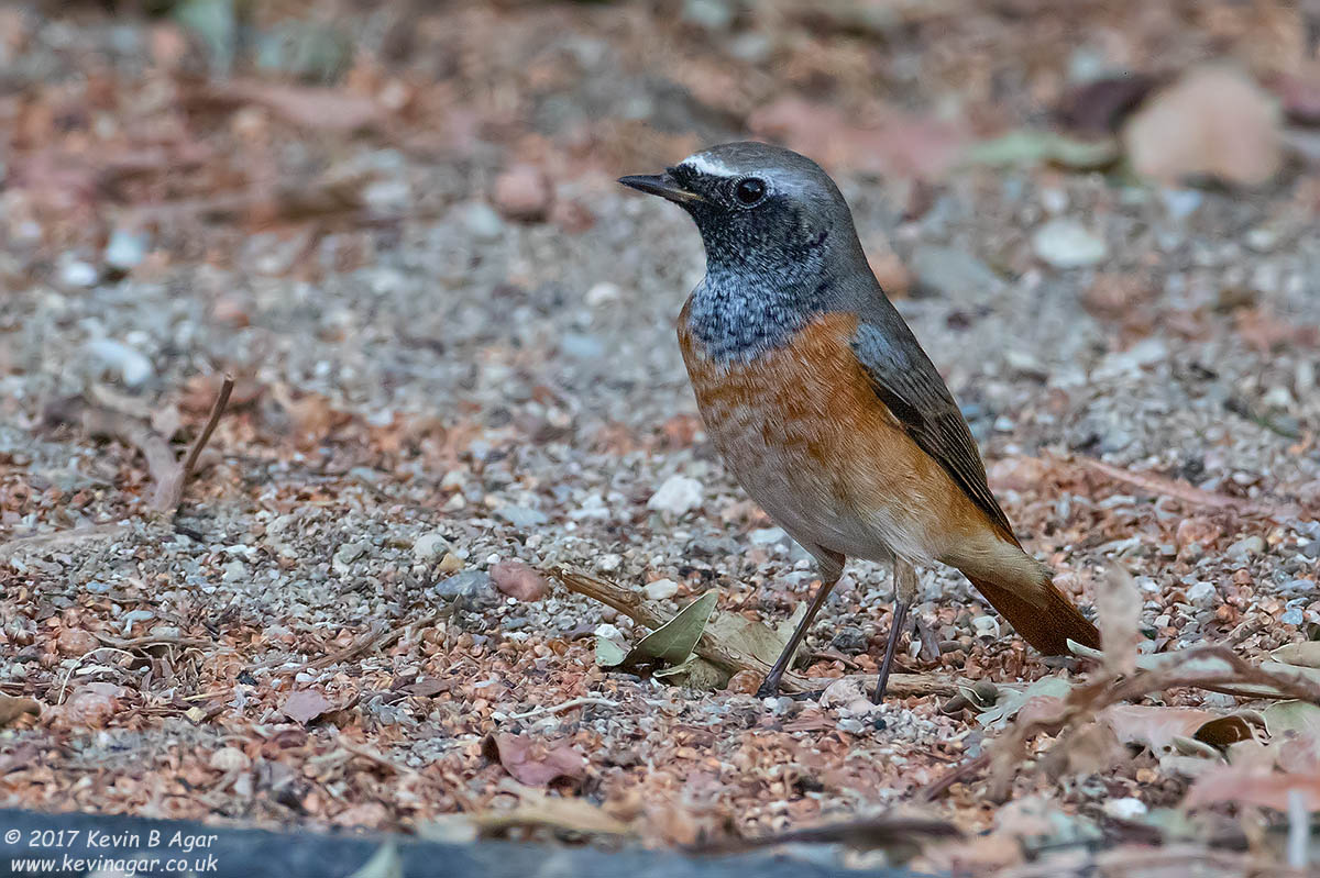 7D2_9502.jpg