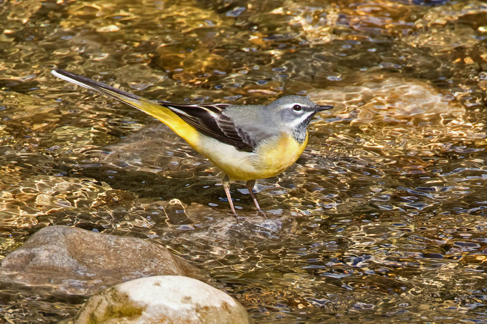 7D2_7831.jpg